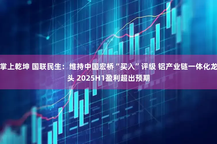 掌上乾坤 国联民生：维持中国宏桥“买入”评级 铝产业链一体化龙头 2025H1盈利超出预期