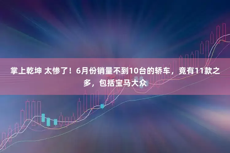 掌上乾坤 太惨了！6月份销量不到10台的轿车，竟有11款之多，包括宝马大众